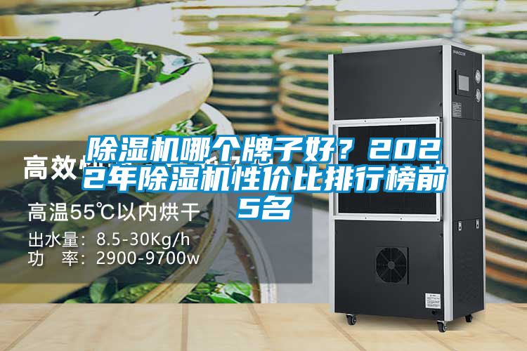 除濕機哪個牌子好？2022年除濕機性價比排行榜前5名