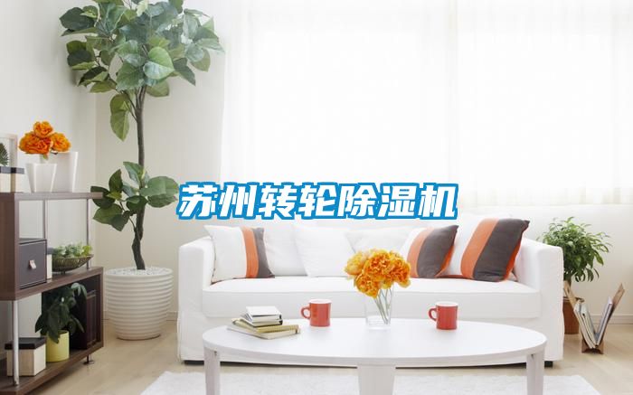 蘇州轉(zhuǎn)輪除濕機