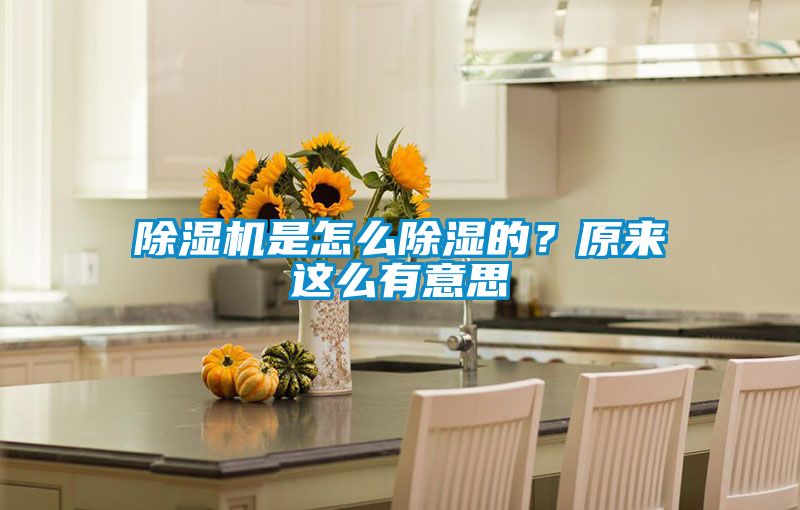 除濕機(jī)是怎么除濕的？原來這么有意思