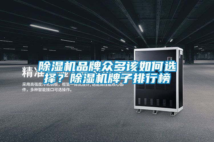 除濕機品牌眾多該如何選擇？除濕機牌子排行榜