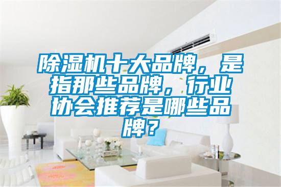 除濕機十大品牌，是指那些品牌，行業(yè)協(xié)會推薦是哪些品牌？