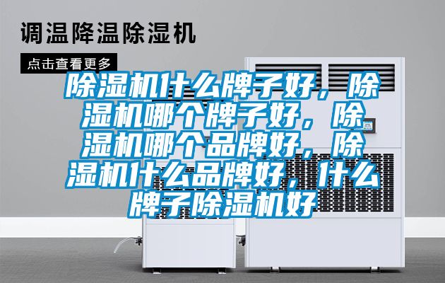 除濕機什么牌子好，除濕機哪個牌子好，除濕機哪個品牌好，除濕機什么品牌好，什么牌子除濕機好