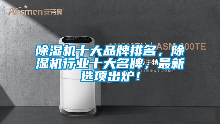 除濕機十大品牌排名，除濕機行業十大名牌，最新選項出爐！