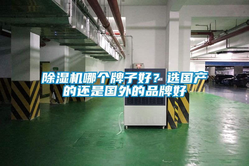 除濕機哪個牌子好?選國產(chǎn)的還是國外的品牌好