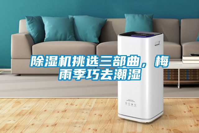 除濕機(jī)挑選三部曲，梅雨季巧去潮濕
