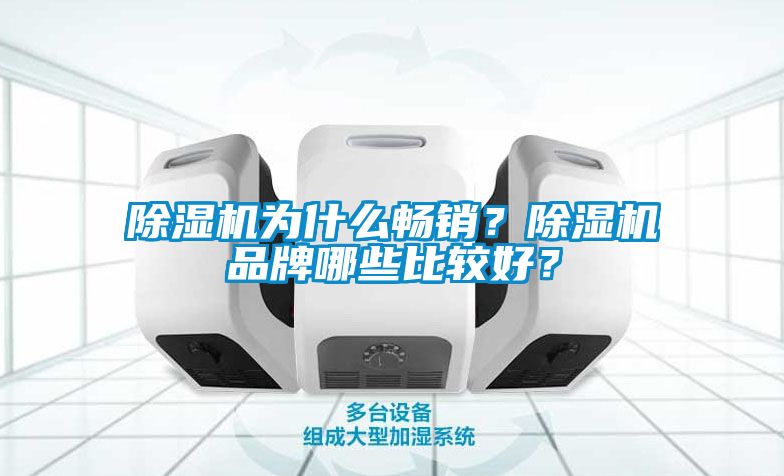 除濕機為什么暢銷？除濕機品牌哪些比較好？