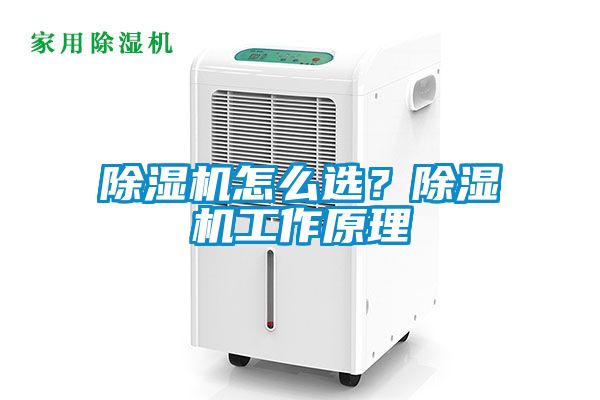除濕機怎么選？除濕機工作原理