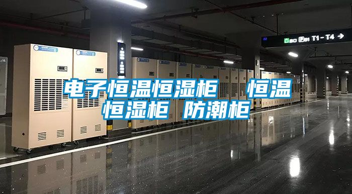 電子恒溫恒濕柜 恒溫恒濕柜 防潮柜