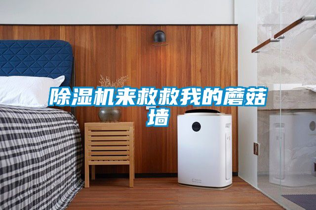 除濕機(jī)來救救我的蘑菇墻
