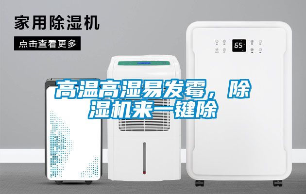 高溫高濕易發(fā)霉,除濕機(jī)來(lái)一鍵除