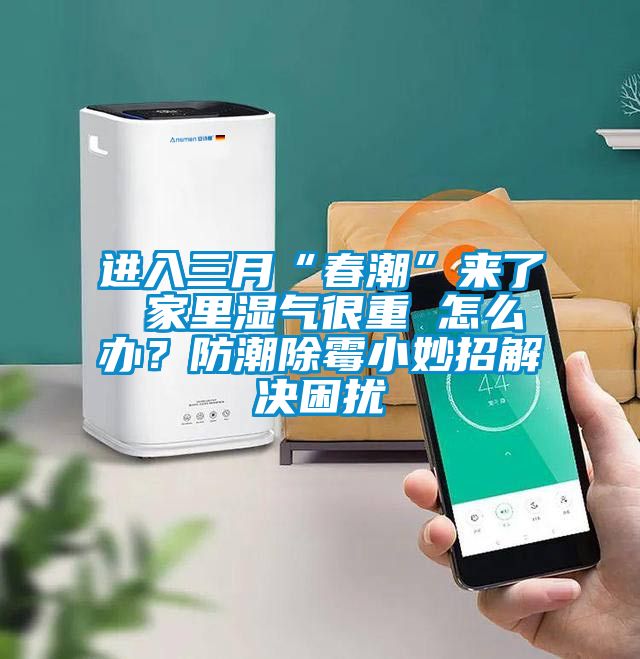 進入三月“春潮”來了 家里濕氣很重 怎么辦？防潮除霉小妙招解決困擾