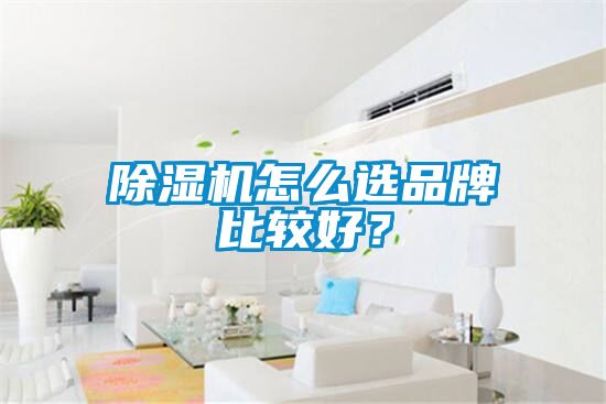 除濕機(jī)怎么選品牌比較好?