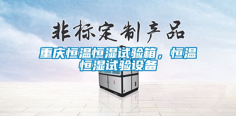 重慶恒溫恒濕試驗(yàn)箱,恒溫恒濕試驗(yàn)設(shè)備