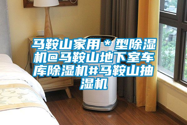 馬鞍山家用*型除濕機(jī)@馬鞍山地下室車庫除濕機(jī)#馬鞍山抽濕機(jī)