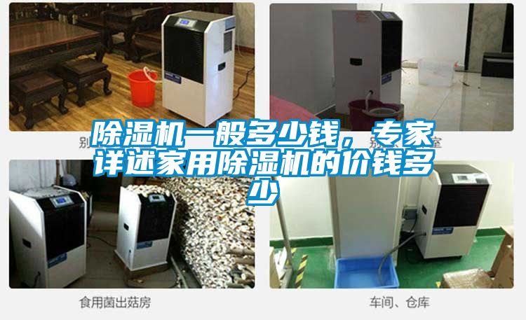 除濕機一般多少錢，專家詳述家用除濕機的價錢多少